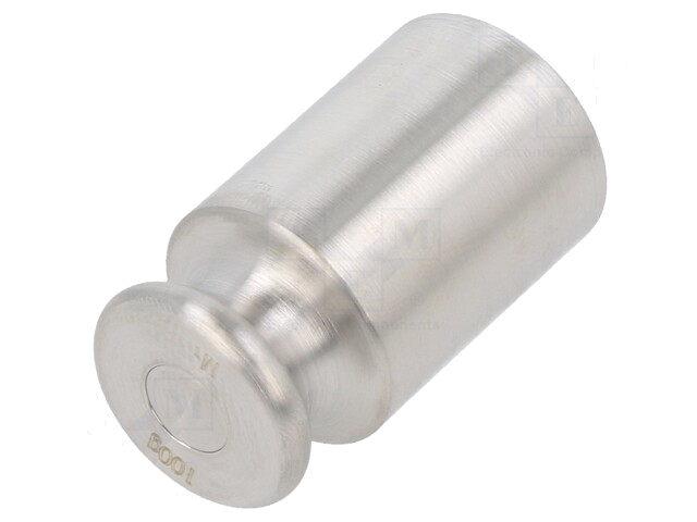 Kalibratiegewicht; 100g; Klasse: OIML M1; rond Kalibratiegewicht; 100g; Klasse: OIML M1; rond